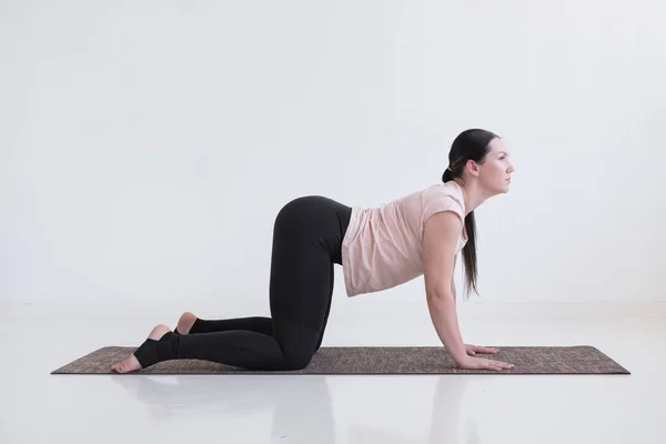 Woman doing yoga asana bitilasana cow or cat pose for gentle warm up for spine — Stock Photo, Image