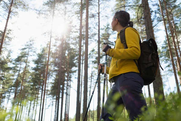 Beine und Nordic Walking Stöcke in der sommerlichen Natur. — Stockfoto