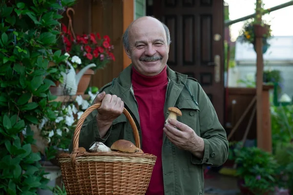 Старий збирає гриби, показуючи цедру з кошика . — стокове фото