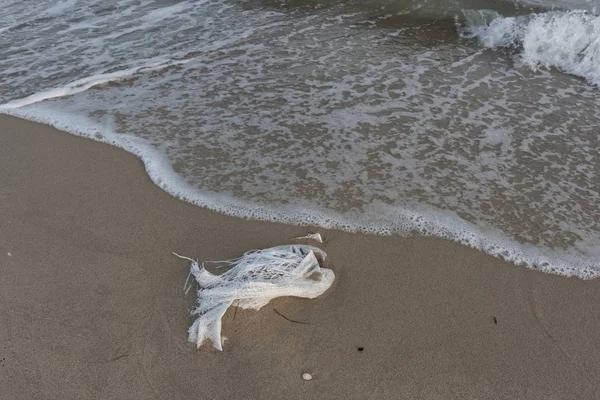 Polluted Beach Beaches Waste — Stock Photo, Image