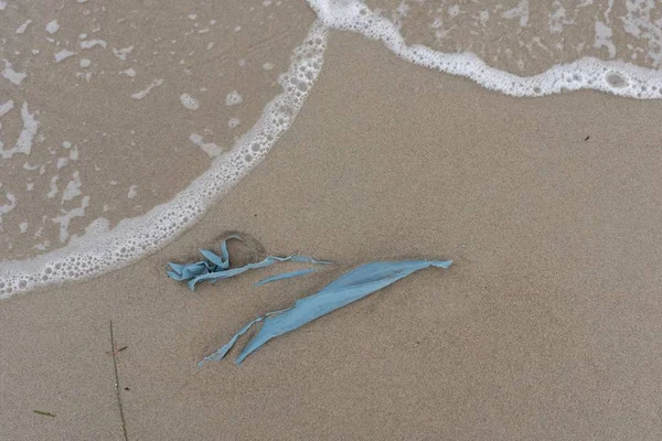 Забруднені Пляжні Пляжі Відходами — стокове фото