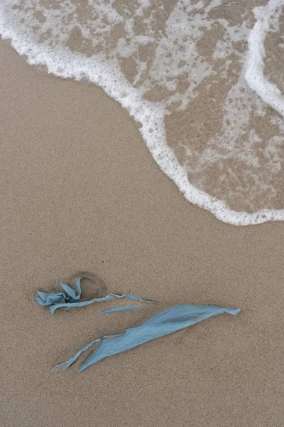 Praias Praia Poluídas Com Resíduos — Fotografia de Stock