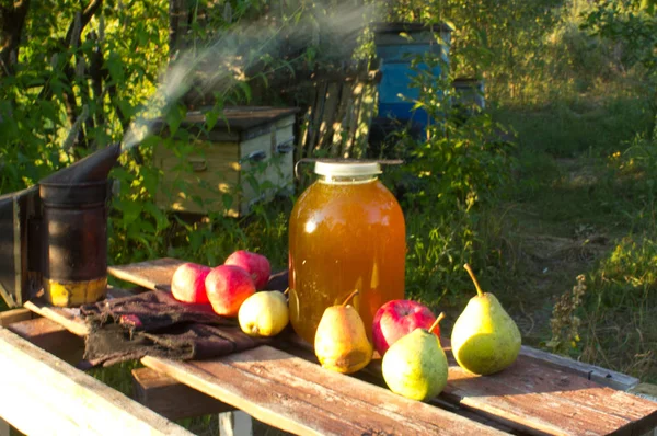 Quiet Place Home Rural Apiary — Stock Photo, Image