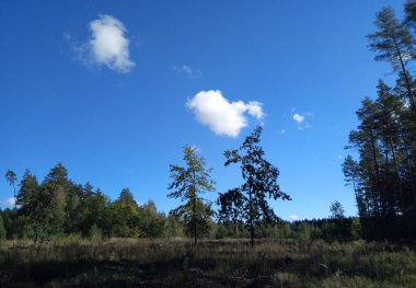Mavi gökyüzünde ışık bulutlar doğa bir okuyucu izlenimi yaratmak