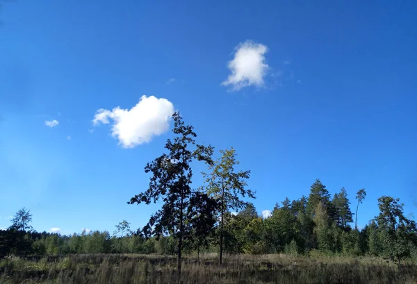 Nuvens Luz Céu Azul Criam Impressão Leitor Natureza — Fotografia de Stock