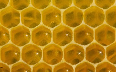 Petek, nektar ve onun yüzeyden yansıyan ışık