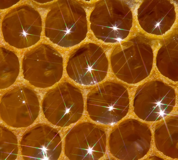 Honeycomb, nektarem a světlo odražené od jeho povrchu. — Stock fotografie