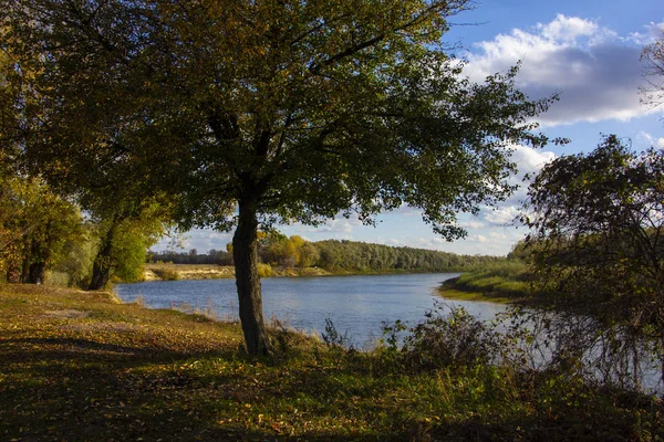 Hösten Vid Älven — Stockfoto