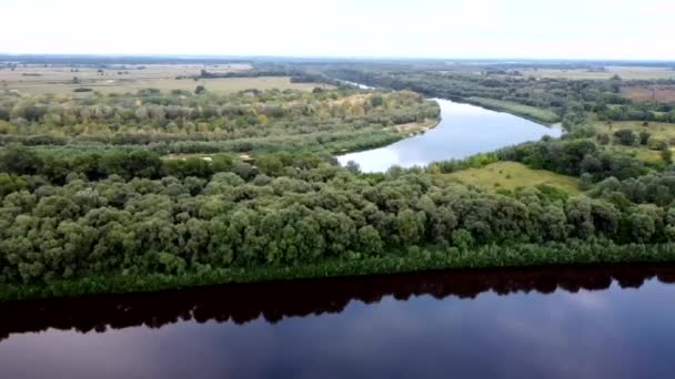 Kilátás Desna Folyóra Chernigov Városához Közel Desna Folyó Oroszországból Származik — Stock videók