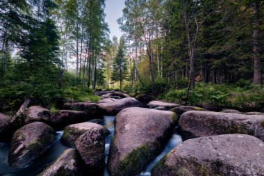 Taş nehir Severka, Rusya Federasyonu.