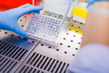 Laboratuvarda araştırma, laminar akışta hücre kültürü orta örnekleri borulama