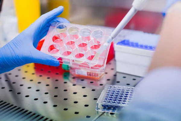 Laboratuvarda araştırma, laminar akışta hücre kültürü orta örnekleri borulama