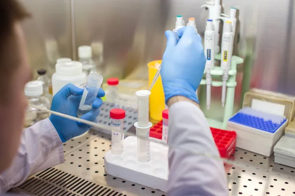 Trabajos de laboratorio con extracción de ADN plásmido —  Fotos de Stock