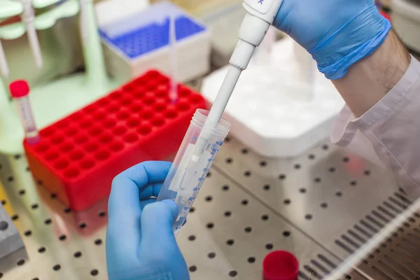 Trabajos de laboratorio con extracción de ADN plásmido Fotos de stock libres de derechos