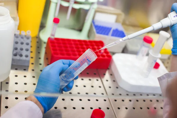 Het laboratoriumwerk met de extractie van DNA van de plasmide Stockfoto