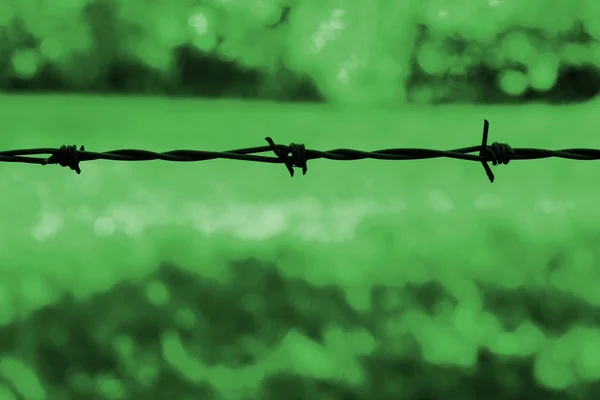 Barbed wire against a green background — Stock Photo, Image