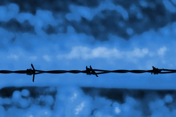 Taggtråd mot en blå bakgrund — Stockfoto