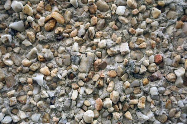 Pebbledash Concrete Wall Render Close Background Texture — Stock Photo, Image