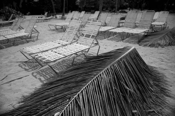 Small plastic deck chairs standing on the sand of Cayo Levantado beach near the beautiful water of Atlantic Ocean in the Samana Bay against palm-trees. Lounge is white and lightwaight.