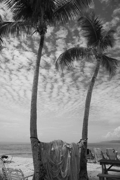 在多米尼加共和国的萨玛纳湾海滩上 位于两个巨大棕榈树之间的渔网 天空多云 但太阳是刺眼的 一些躺椅放在棕榈树附近 — 图库照片