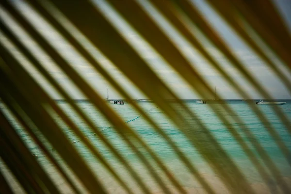 Photo Caribbean Sea Cloudy Sky Caribbean Palm Leaf Some Boats — Stock Photo, Image