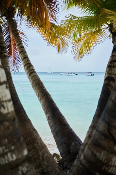 Bulutlu gökyüzü ışık mavi Karayip Denizi Dominik Cumhuriyeti yukarıda. Palmiye ağaçları mayo ile Saona Adası'nda yapılan atış. Islak mayo üzerinde ön plan vardır. Plajda palmiye ağaçları büyüyor.