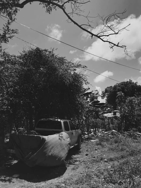 Fekete-fehér fénykép, a régi törött pick-up a hárs napsütésben — Stock Fotó