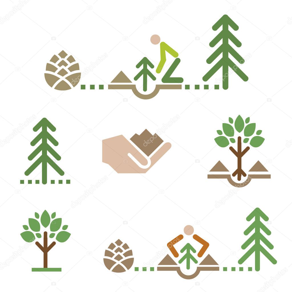 Tree icons, planting tree. Set of colorful icons with trees and tree planting.Vector available.