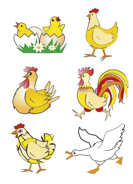 Chicken Hen Rooster Goose Cartoon Colorful Stylized Illustrations Chicken Hen — Stock Vector