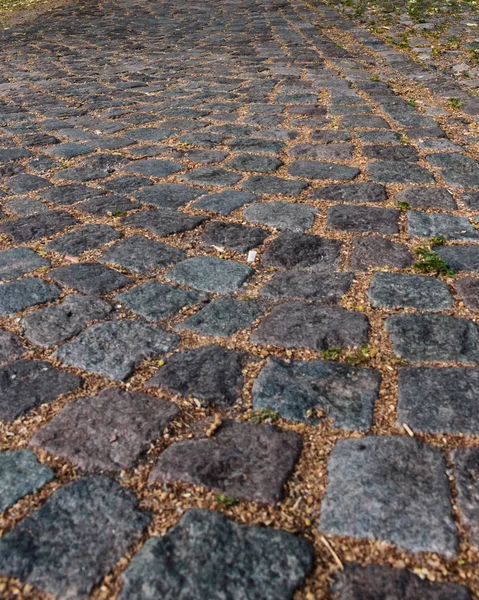 Brick Driveway Pavement Texture — Stock Photo, Image
