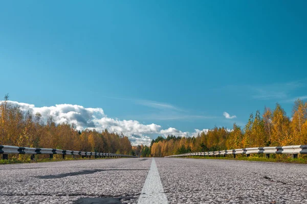 The highway through the autumn wood in sunny day, Mari El, Russia, 88K-002