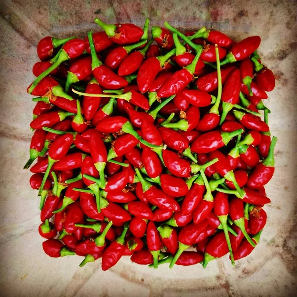 Piments Rouges Fond Avec Une Moltitude Petits Poivrons — Photo