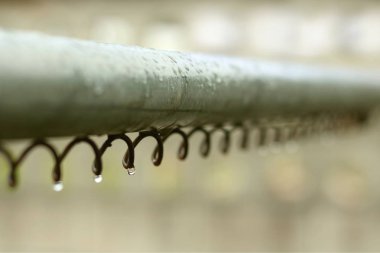 Çelik bobin, seçici odak üstünde su damlaları