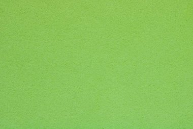 Işık yeşil sünger, arka plan dokusu