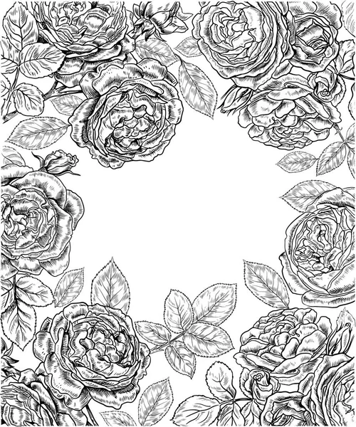 Fondo Blanco Negro Decorativo Con Rosas Hojas — Vector de stock