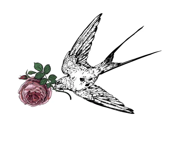 Vector vintage dibujado a mano tragar pájaro con flor de rosa . — Vector de stock