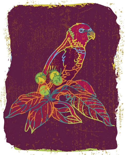 Vector Grange kolorowe tło z papuga rysunek. — Wektor stockowy