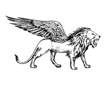 Vintage gerçekçi el kanatları karakteri ile aslan çizilmiş.