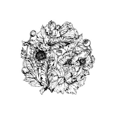 cicle haşhaş çiçekleri