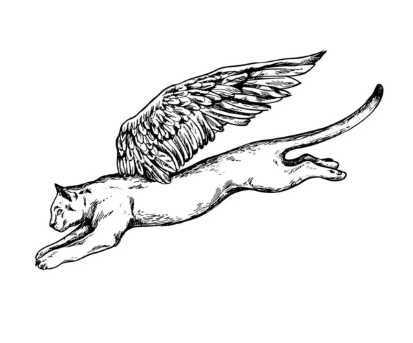 Pantera con alas 3 — Archivo Imágenes Vectoriales
