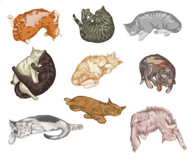 Uyuyan kediler 1 renkte