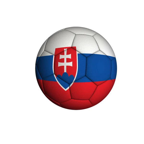 Slovakia football — Stock Photo, Image