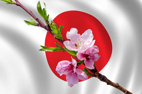 Branch Of Peach Flowers on the Japanese flag background