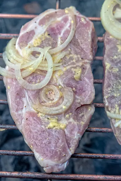 Mięso z cebulą i musztarda na grill — Zdjęcie stockowe