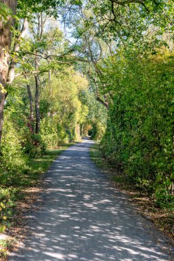 Ricklinger Kiesteiche Içinde Hannover Aşağı Saksonya