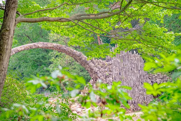 Ponte Rakotz, Azalea e Rhododendron Park a Kromlau — Foto Stock
