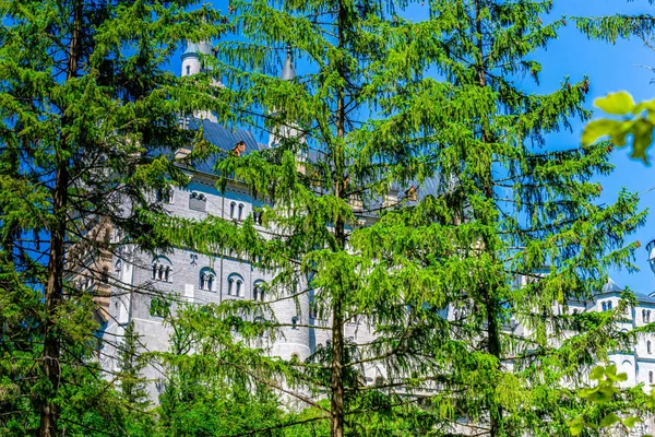 Castillo de Neuschwanstein en Hohenschwangau Bavaria — Foto de Stock