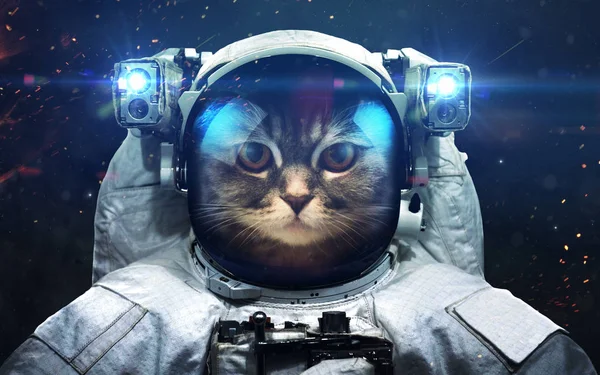 Kedi astronot ile bilim kurgu uzay duvar kağıdı, inanılmaz b — Stok fotoğraf