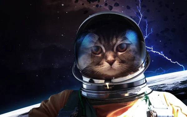 Котячий космонавт у космосі — стокове фото