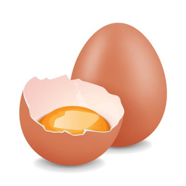 Tam tavuk yumurtası ve yumurta sarısı. Gerçekçi vektör